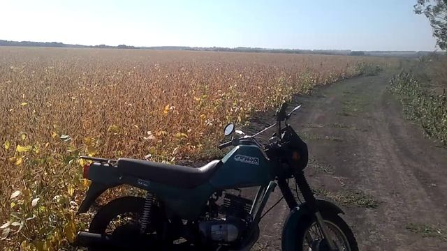вторая жизнь