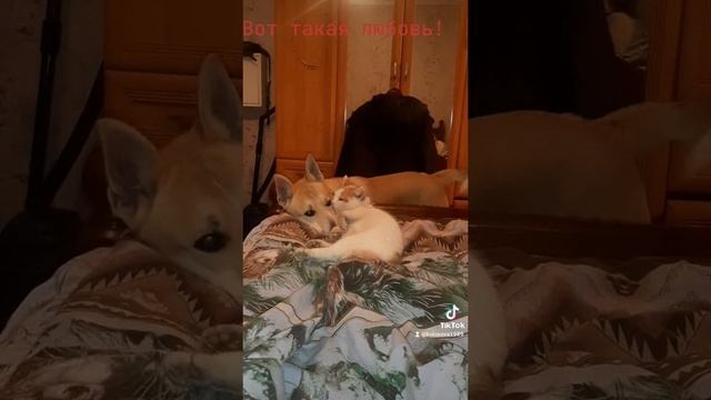 2024-04-25-211604503.mp4