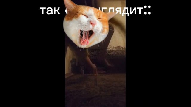 1000005018.mp4