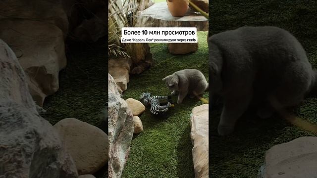 реклама