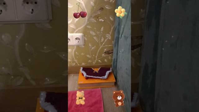 обустраиваю уголок моей уточки печеньки