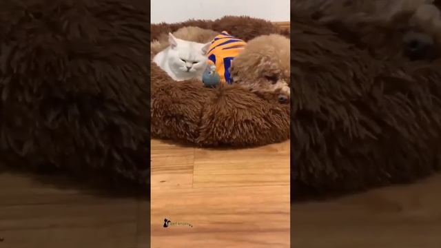 Теплая компания ❤️🥰