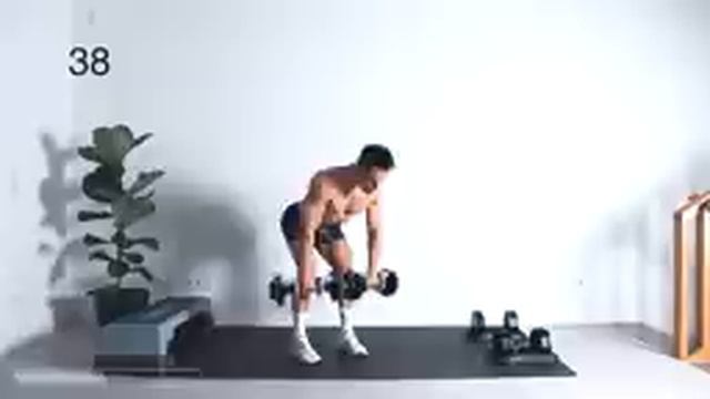 30 minute   STRENGTH   MUSCLE BUILDING Full Body Dumbbell Workout