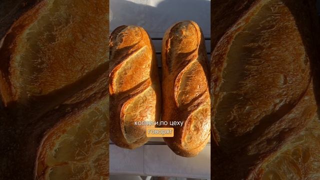 Закваска перерабатывает глютен?