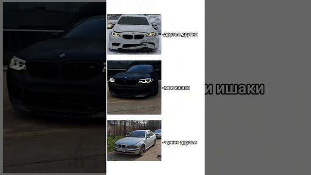 да это мои ишака 😈