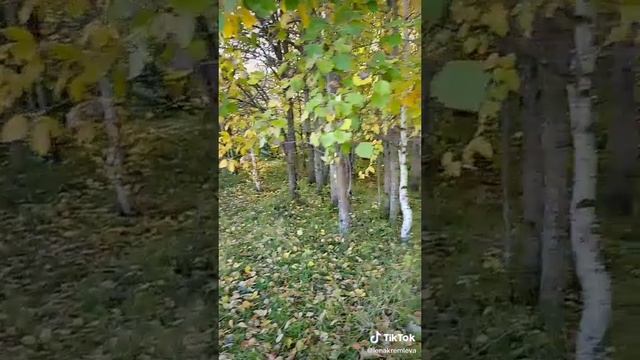 1000015618.mp4