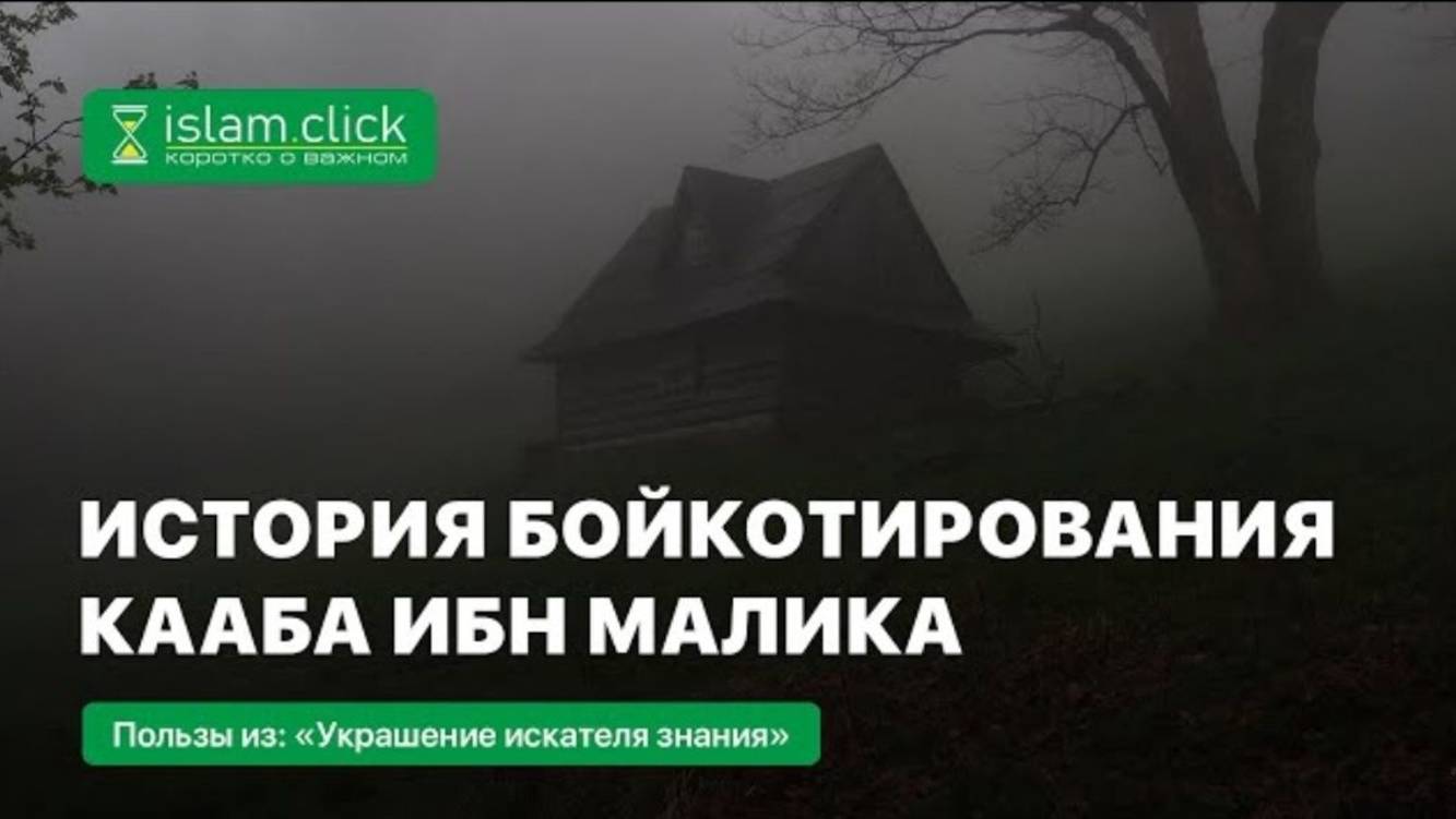 История бойкотирования Кааба ибн Малика. Абу Яхья Крымский