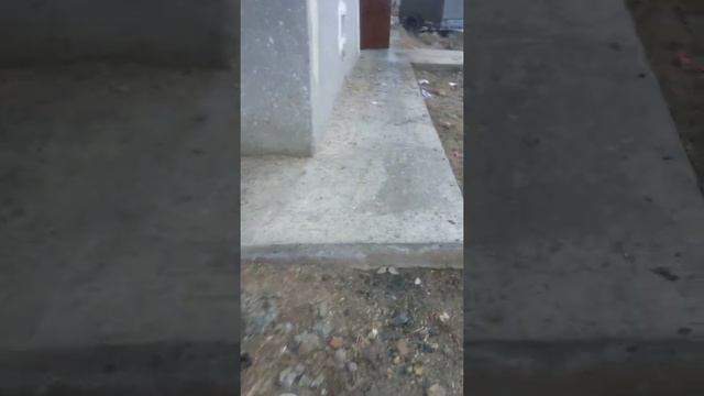 Беруний тумани Шайх Аббос Вали кучаси 61/б уй падездлари аянчли ахволга келиб колган