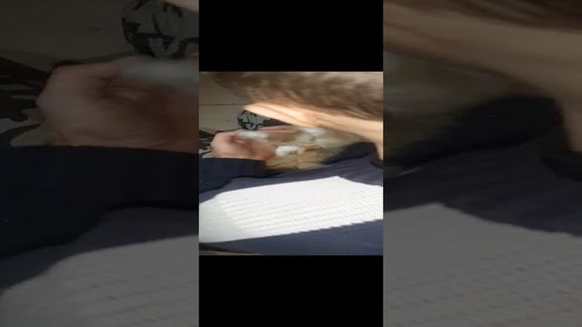 1000001233.mp4