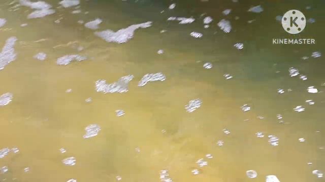 Охлаждаем воду для форели в пруду_строим пруд осетр форель стерлядь