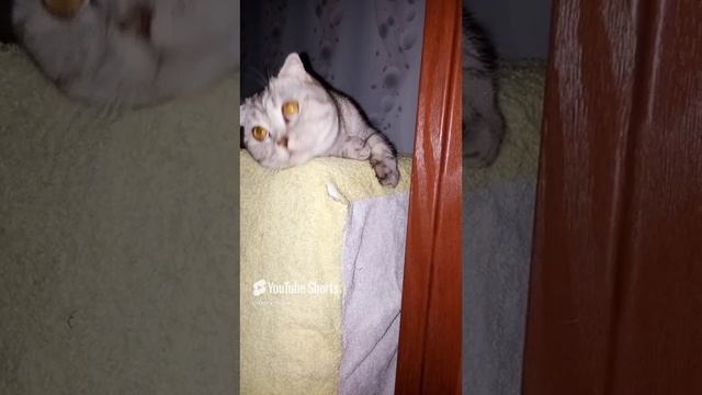 9 декабря 2024 г..mp4