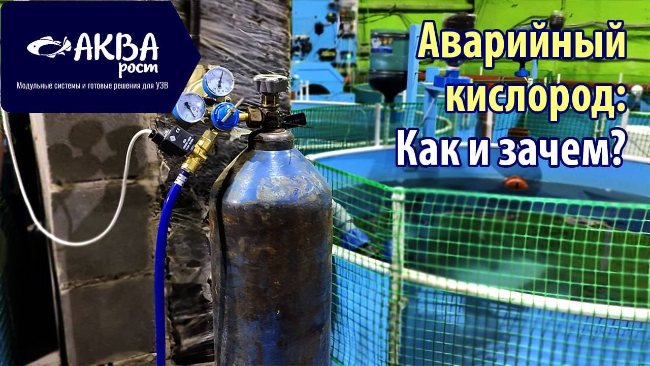 Аварийный кислород в УЗВ: как и зачем?  #система #узв #рыба