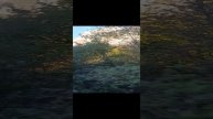 Горная Ингушетия МФК "Золотой орёл" Кавказ: 3 республики: Ингушетия, Осетия, Чечня
