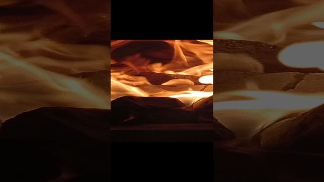 1000183808.mp4
