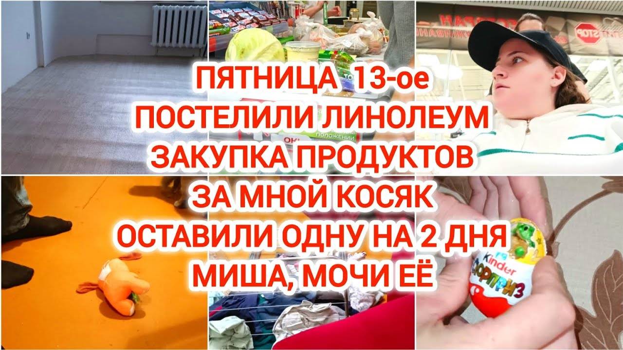 VLOG | ПЯТНИЦА 13-ое | ПОСТЕЛИЛИ ЛИНОЛЕУМ | ЗАКУПКА ПРОДУКТОВ | ЗА МНОЙ КОСЯК | МИША, МОЧИ ЕЁ
