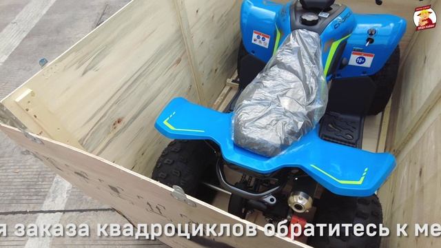 Поставка детских квадроциклов из Китая в Россию | CFMOTO Cforce 110, дешевле чем у дилера!