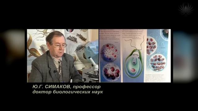 Научно популярный фильм «ГРАВИТАЦИЯ» - Глобальная волна