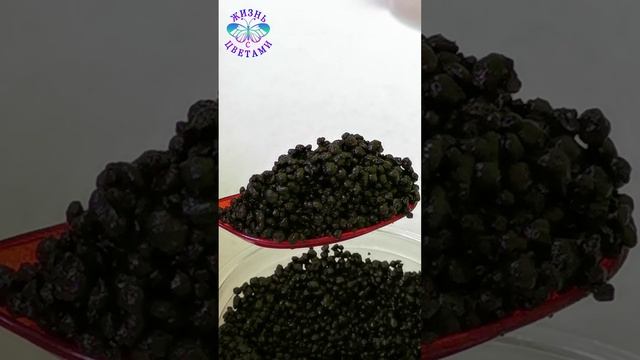 Икра Заморская