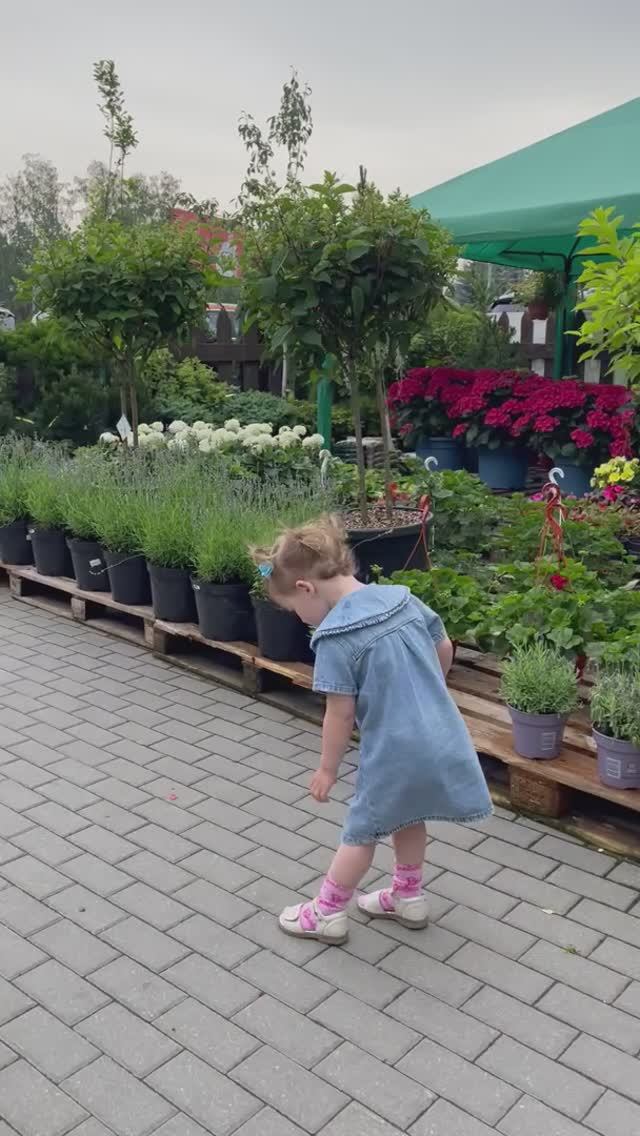 Цветы цветы 🌷 🌹 🌷 🌹 🌷