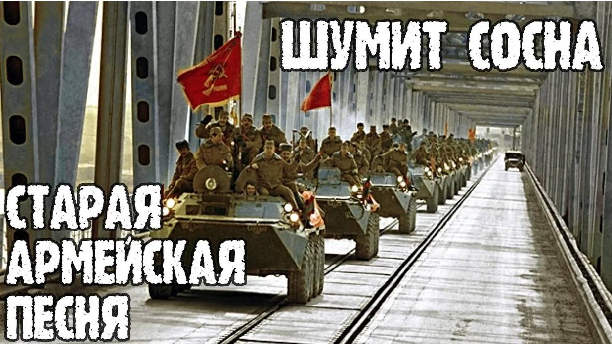 Шумит сосна Афганская песня Я ухожу Сергей Мельник