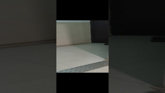 1000291191.mp4