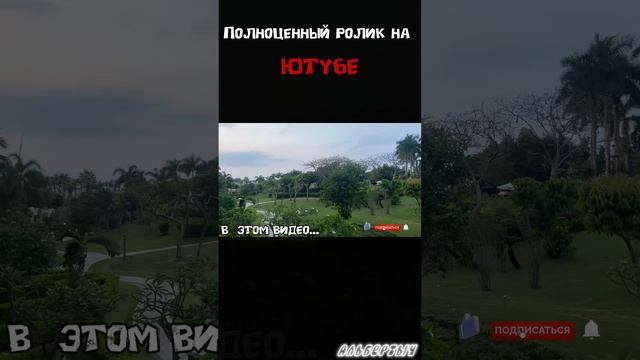 Новое видео на канале