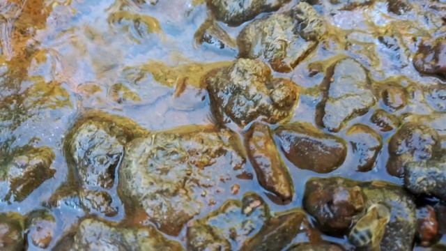 VID_20220817_181625.mp4