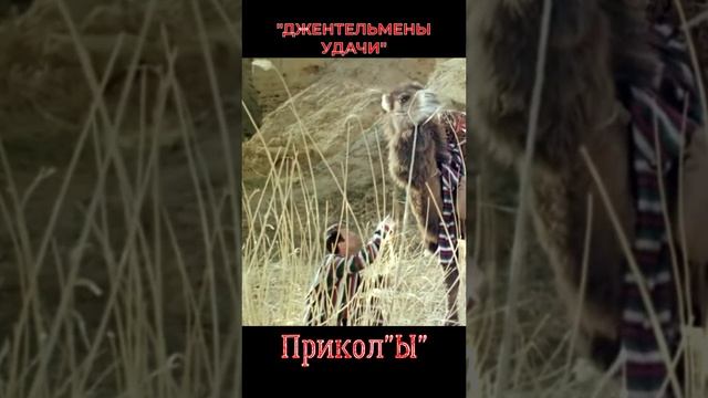 Прикол"Ы" #приколы#кино #фильмы#клипы#лучшее#хит#шедевр#юмор#прикол#лучшее#film #кино#фильм#новыйгод