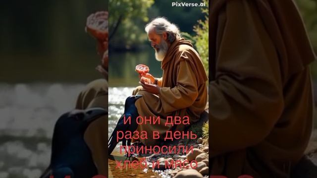 птицы обеспечивали пророка провизией