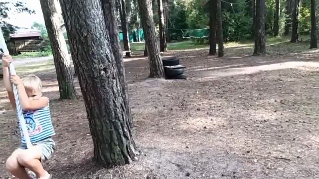 Новый аттракцион на площадке.