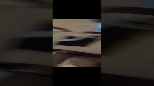 VID_20241223_080313.mp4