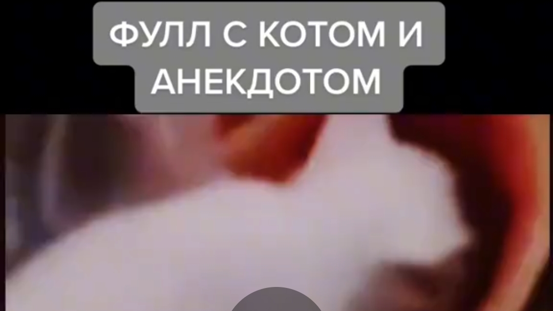 прикол