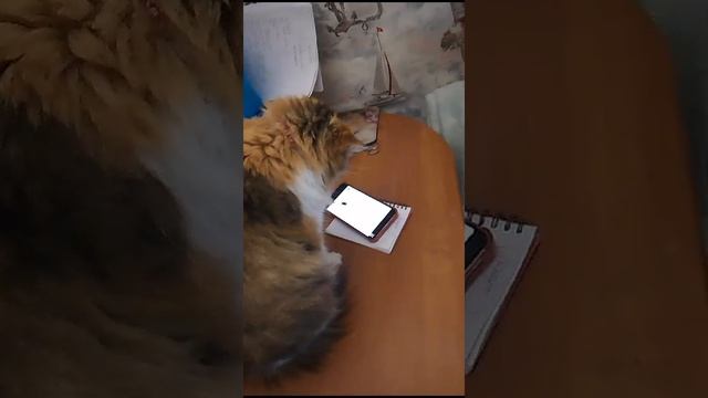 1000187308.mp4