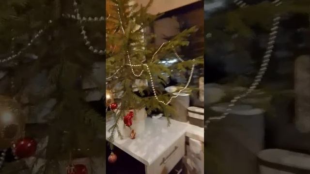 Степан украшает елку