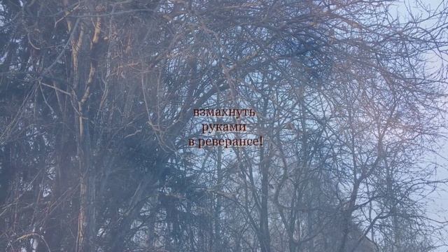 Момент полёта. Стихи и видеомонтаж мои. Музыка Игоря Стравинского