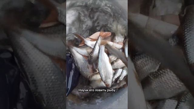 Научи его ловить рыбу !