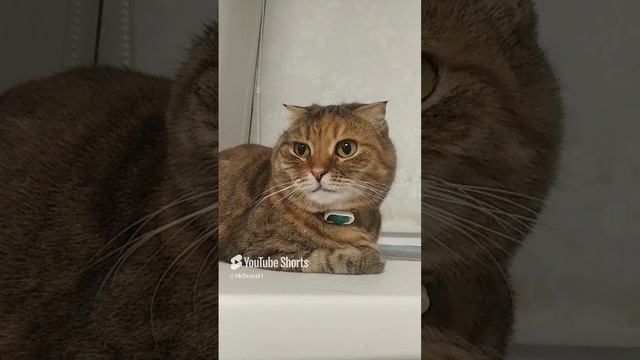 Если женишься на.mp4