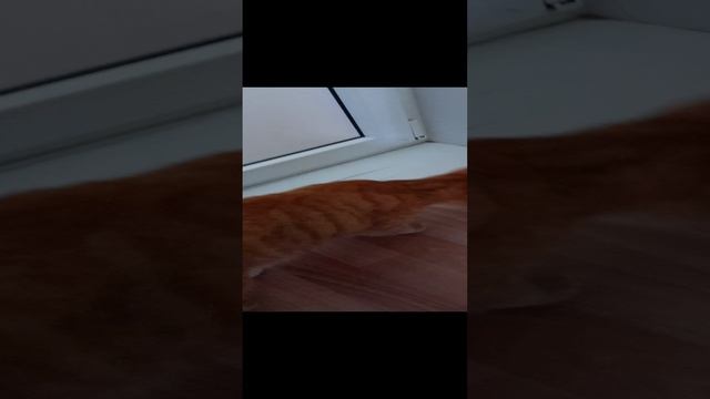1000017798.mp4