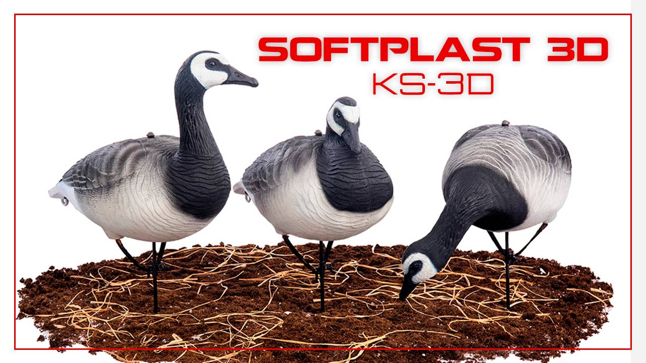 Чучела белощекая казарка KS-3D