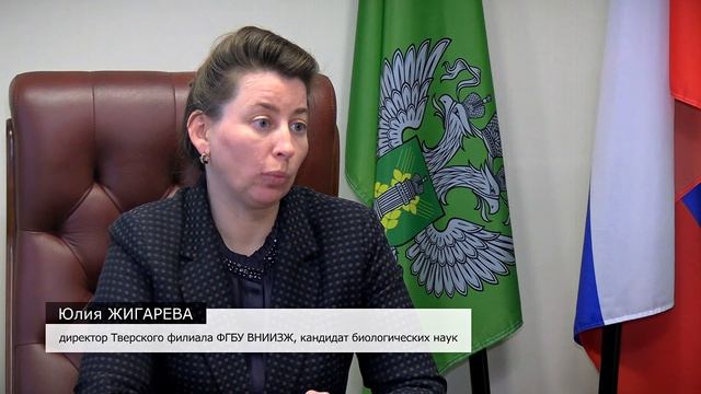 Как контролируется качество мандаринов ввозимых в Тверскую область