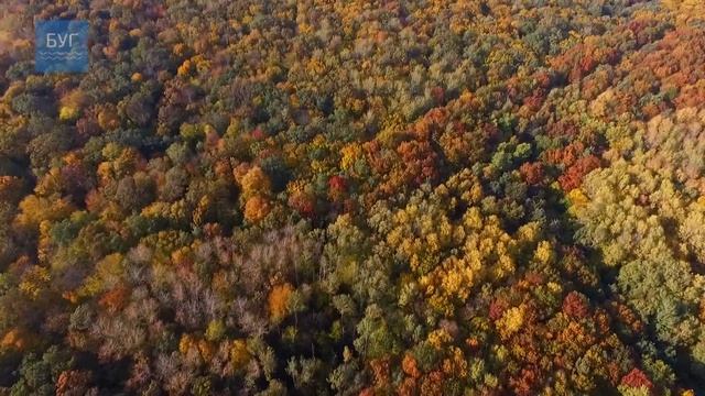 Осінь в регіоні Прибужжя з висоти пташиного польоту