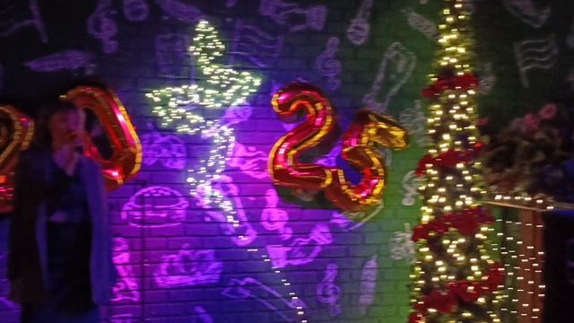 Ресторан Скоро Буду. Новогодний корпоратив. Девушка поёт песню. Много народу.