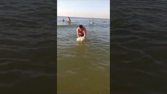 Вот это шляпа.