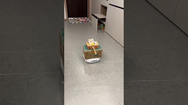 Личный транспорт 😅