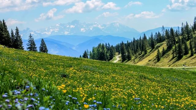 Евангелие дня 14 ИЮНЯ 2023 с толкованием. Апостол дня. Жития Святых