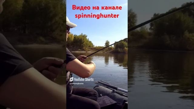 Поклевка - отдай спиннинг! Удар жереха в прямом эфире