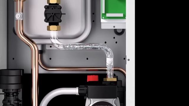 WhatsApp Video 2024-08-20 at 14.45.09