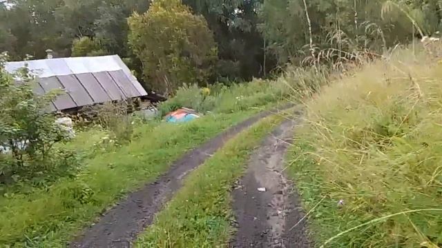Яконово, лесная деревушка..mp4