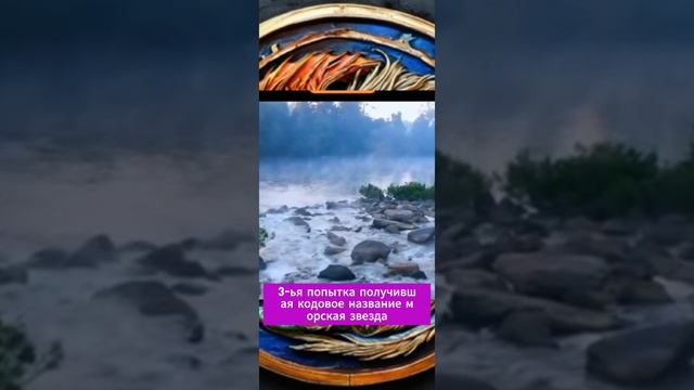 "интересная аргументированная мысль".#рекомендации