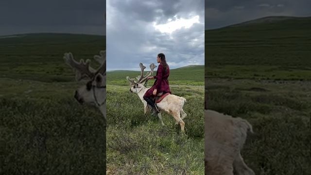 Girl riding a Reindeer